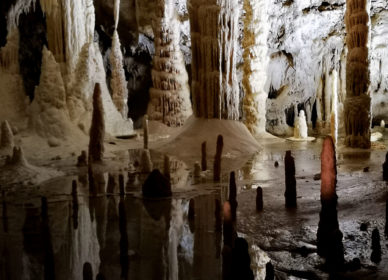 Speleologia