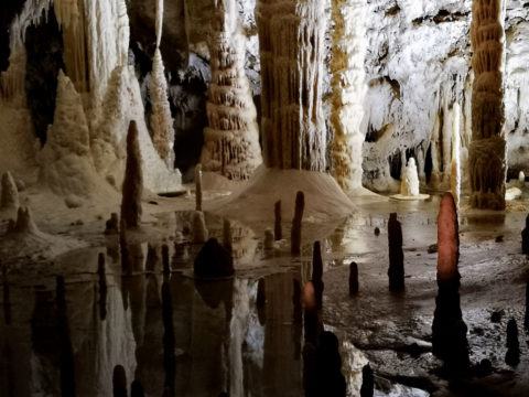 Speleologia